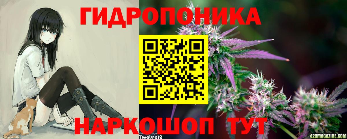 Каннабис план Сергиев Посад